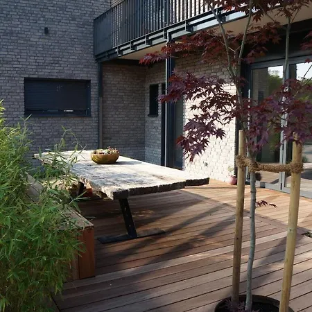 Apartment - Studio - Hey Spreewald *